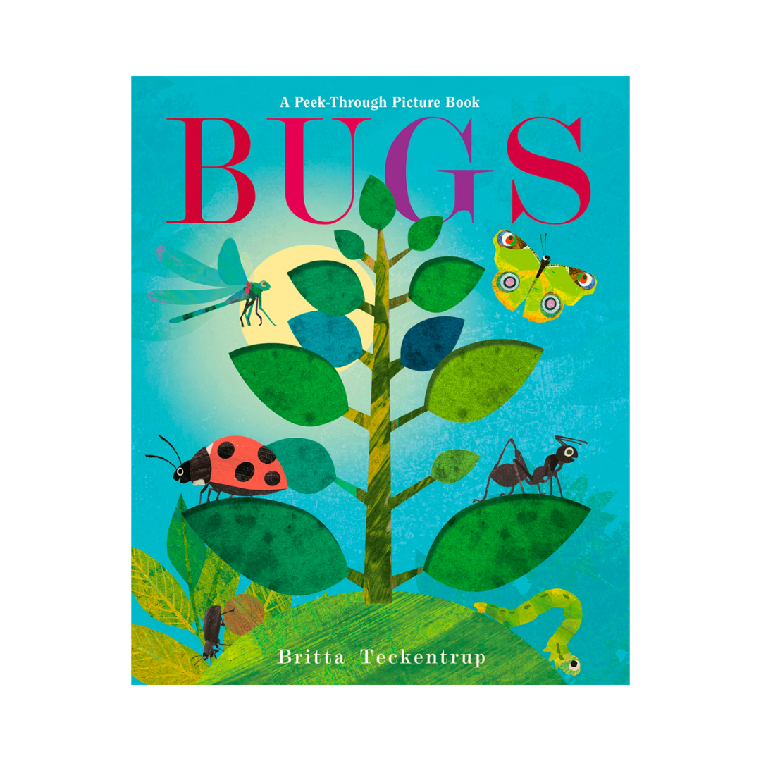 Bugs: A Peek-Through Picture Book – Kidspace Museum Store