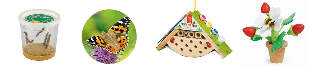 caterpillars, a butterfly, a bee house, a toy flower with a bee toy