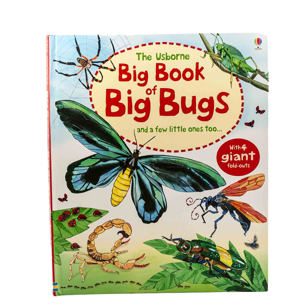 book about big bugs