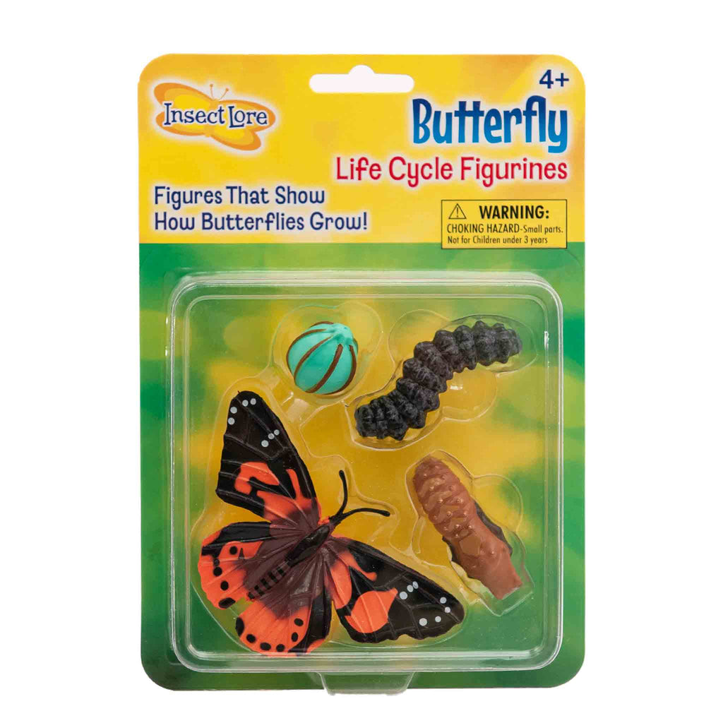 butterfly metamorphosis set 